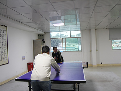 乒乓球 活动室